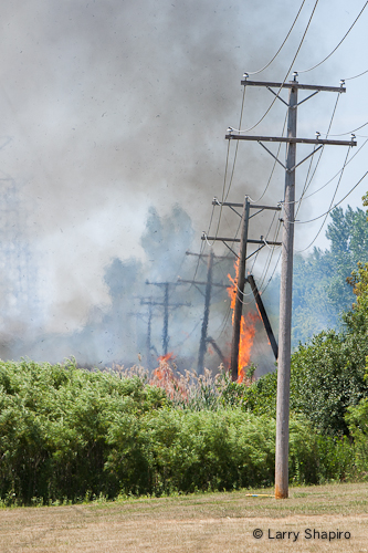 man using illegal fireworks arrested for causing large brush fire in Buffalo Grove 7-8-12