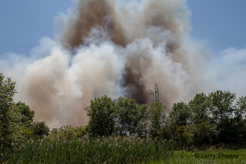 Large brush fire in Buffalo Grove 7-8-12