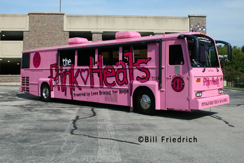 Pink Heals Tour - Anne marie