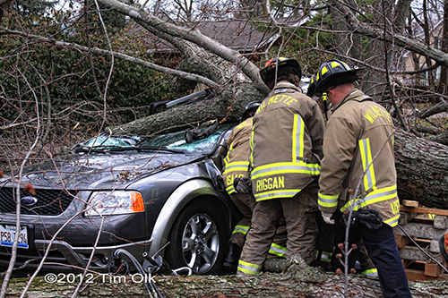 tree crushes car with occupants in Wilmette 11-23-12