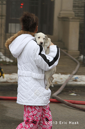 Chicago firemen rescue dog from fire
