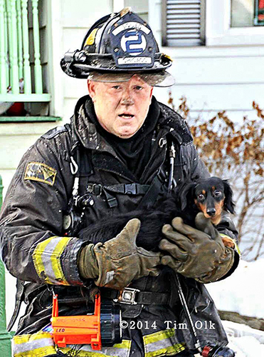 Chicago fireman rescues dog from house fire