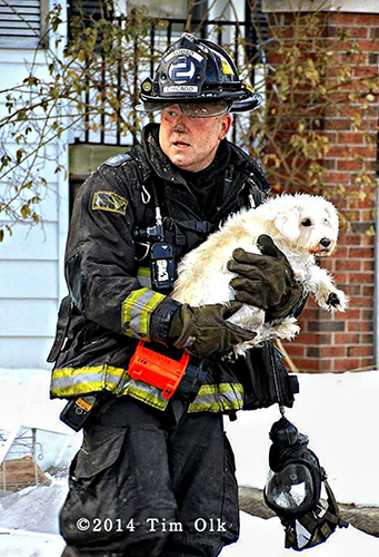 Chicago fireman rescues dog from house fire
