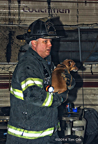 fireman rescues dog from fire