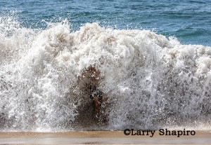 waves crashing on the beach