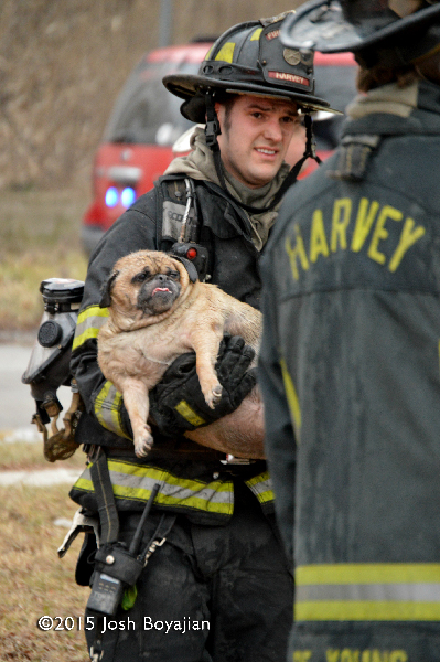 fireman carries dog from house fire