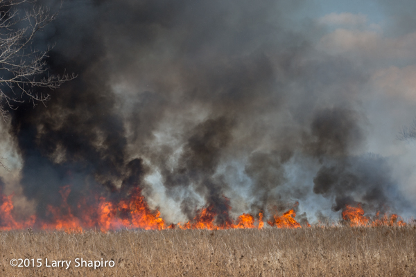 huge flames and heavy smoke from prescribed burn