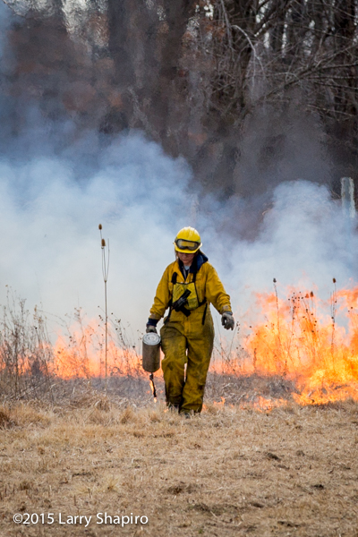 wildland firefighter uses drip torch in field