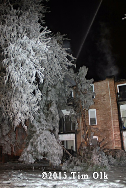 tress covered with ice after building fire