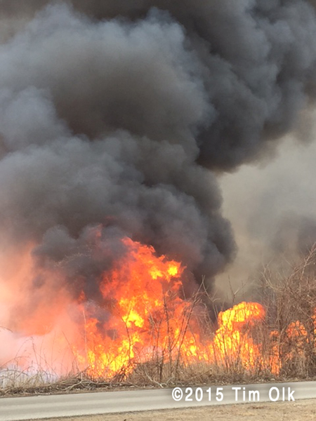 controlled wildland burn