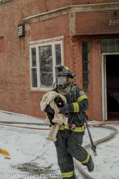 firefighter rescues cat from apartment fire
