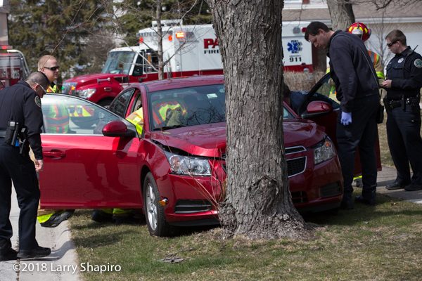 one-car crash with a tree in Buffalo Grove