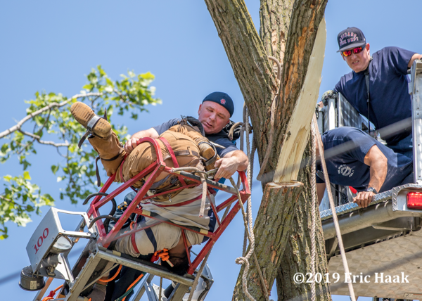 Chicago firefighters rescued an injured tree series worker dangling from a tree