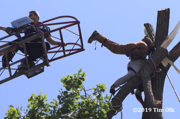 Chicago firefighters rescued an injured tree series worker dangling from a tree