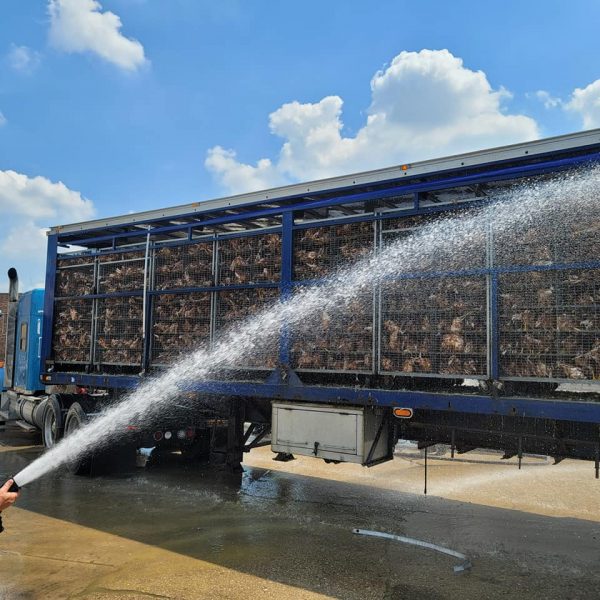 Addison Firefighters cool down a truck load of chickens stranded in excessive heat