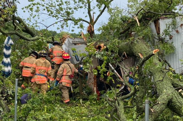 woman dies after tree crushes her mobile home